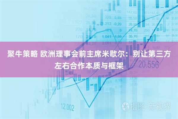 聚牛策略 欧洲理事会前主席米歇尔：别让第三方左右合作本质与框架