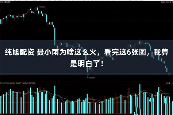 纯旭配资 聂小雨为啥这么火，看完这6张图，我算是明白了！